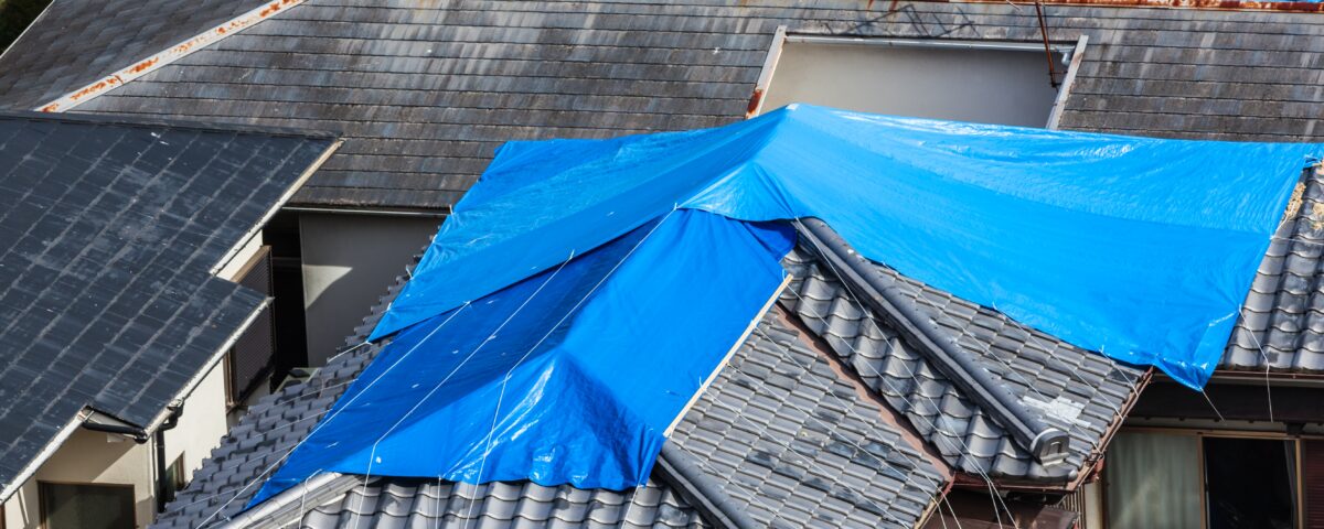 Should You Repair or Replace Your Roof? How to Know the Difference