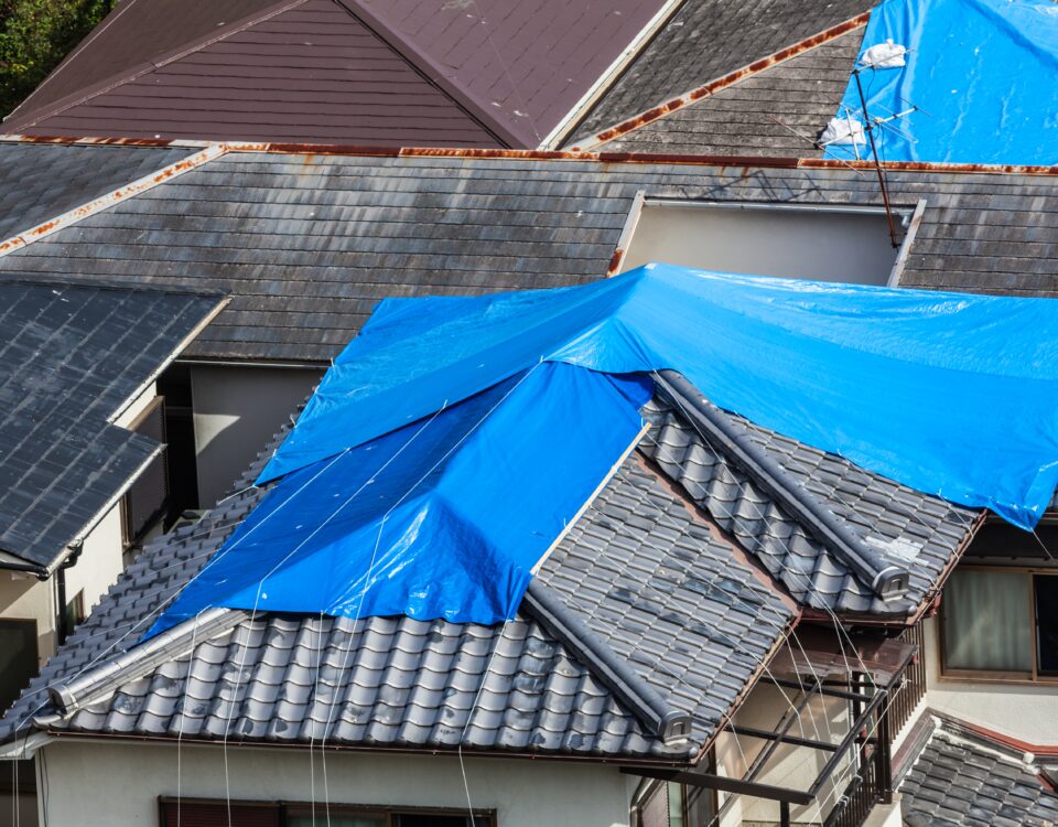 Should You Repair or Replace Your Roof? How to Know the Difference