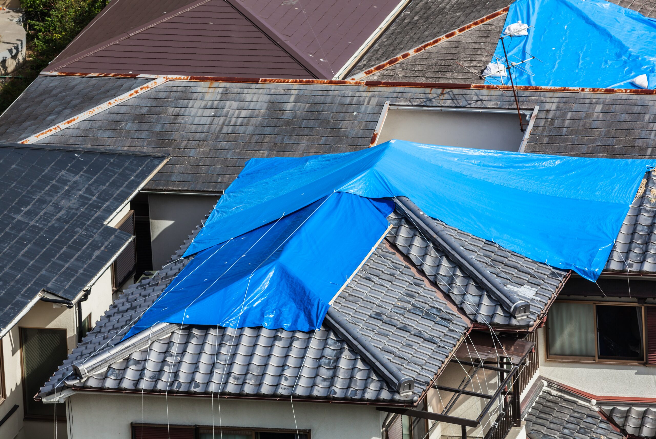 Should You Repair or Replace Your Roof? How to Know the Difference
