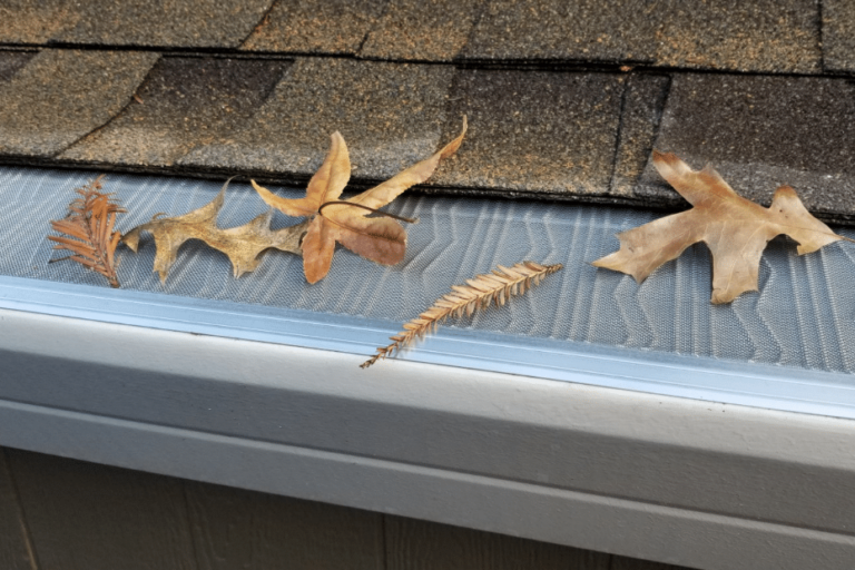 Leaves sitting on top of LeafBlaster Pro gutter protection system