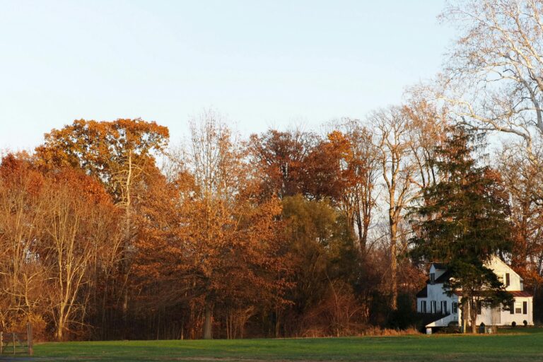 Home in autumn surrounded by leaves, highlighting the importance of gutter maintenance tips